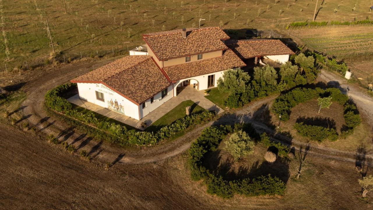 Agriturismo Sa Scalitta カルボーニア エクステリア 写真