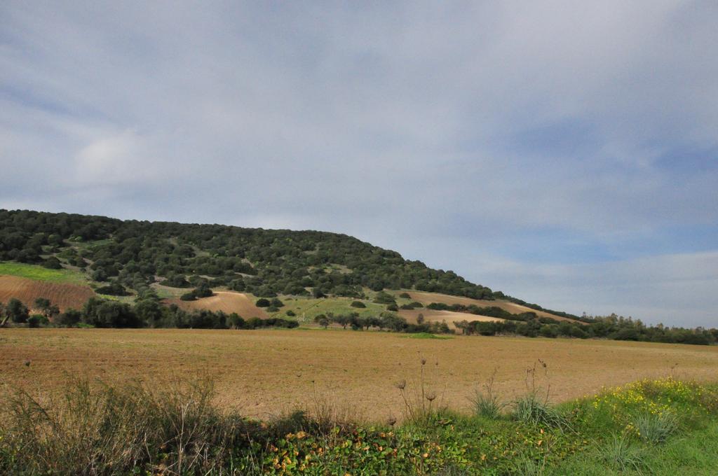 Agriturismo Sa Scalitta カルボーニア エクステリア 写真