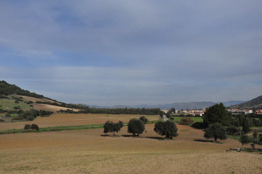 Agriturismo Sa Scalitta カルボーニア エクステリア 写真